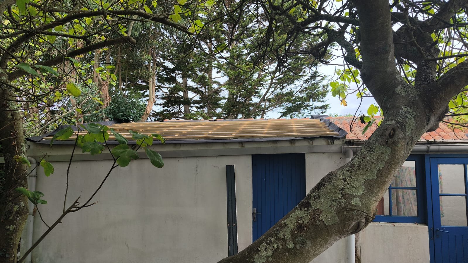 whatsapp-image-2025-09-16-at-092637